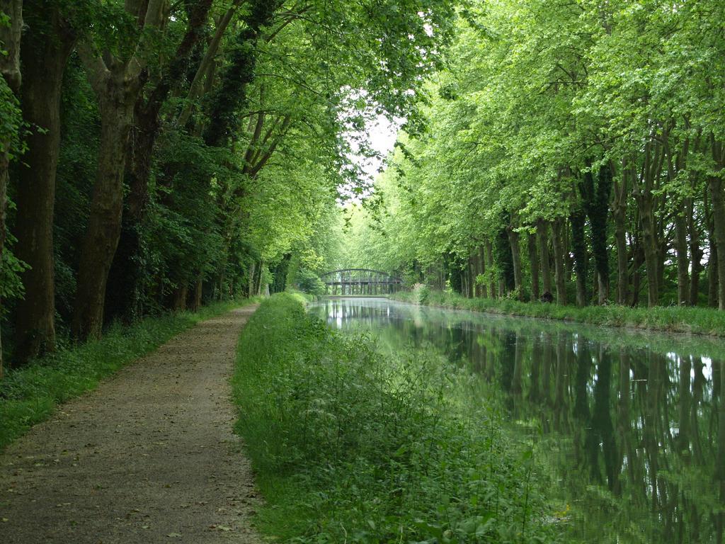 Gite Au Jardin Meilhan-sur-Garonne 部屋 写真