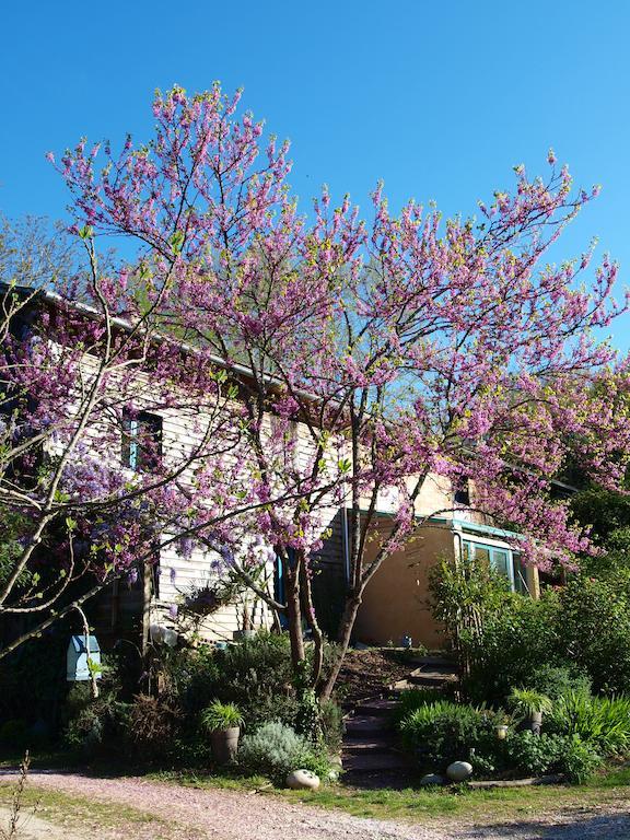 Gite Au Jardin Meilhan-sur-Garonne 部屋 写真