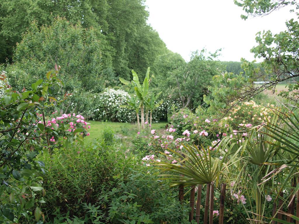 Gite Au Jardin Meilhan-sur-Garonne 部屋 写真