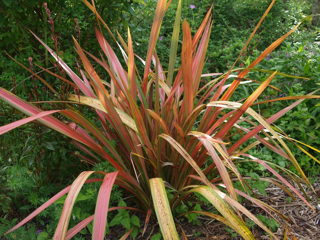 Gite Au Jardin Meilhan-sur-Garonne 部屋 写真