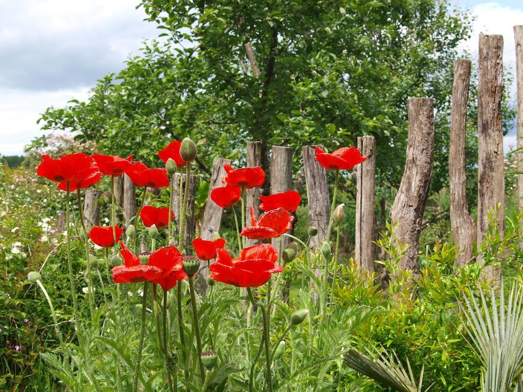 Gite Au Jardin Meilhan-sur-Garonne 部屋 写真