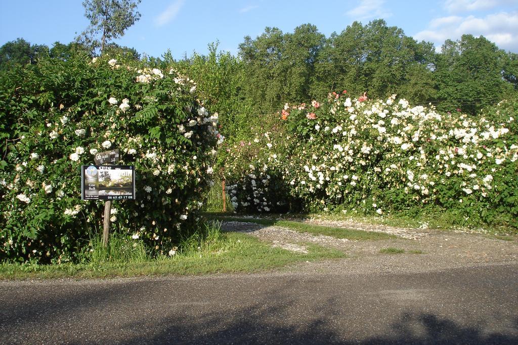 Gite Au Jardin Meilhan-sur-Garonne エクステリア 写真