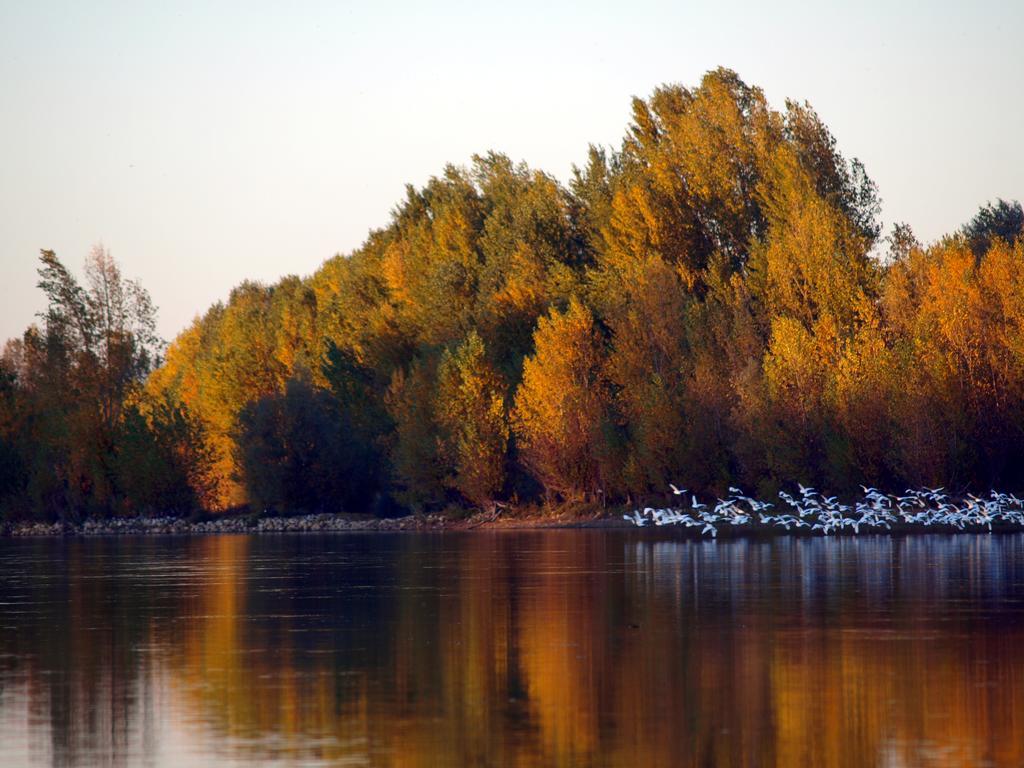 Gite Au Jardin Meilhan-sur-Garonne エクステリア 写真